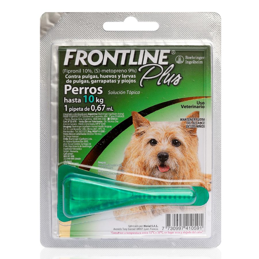 Frontline P. Perro, , large image number null
